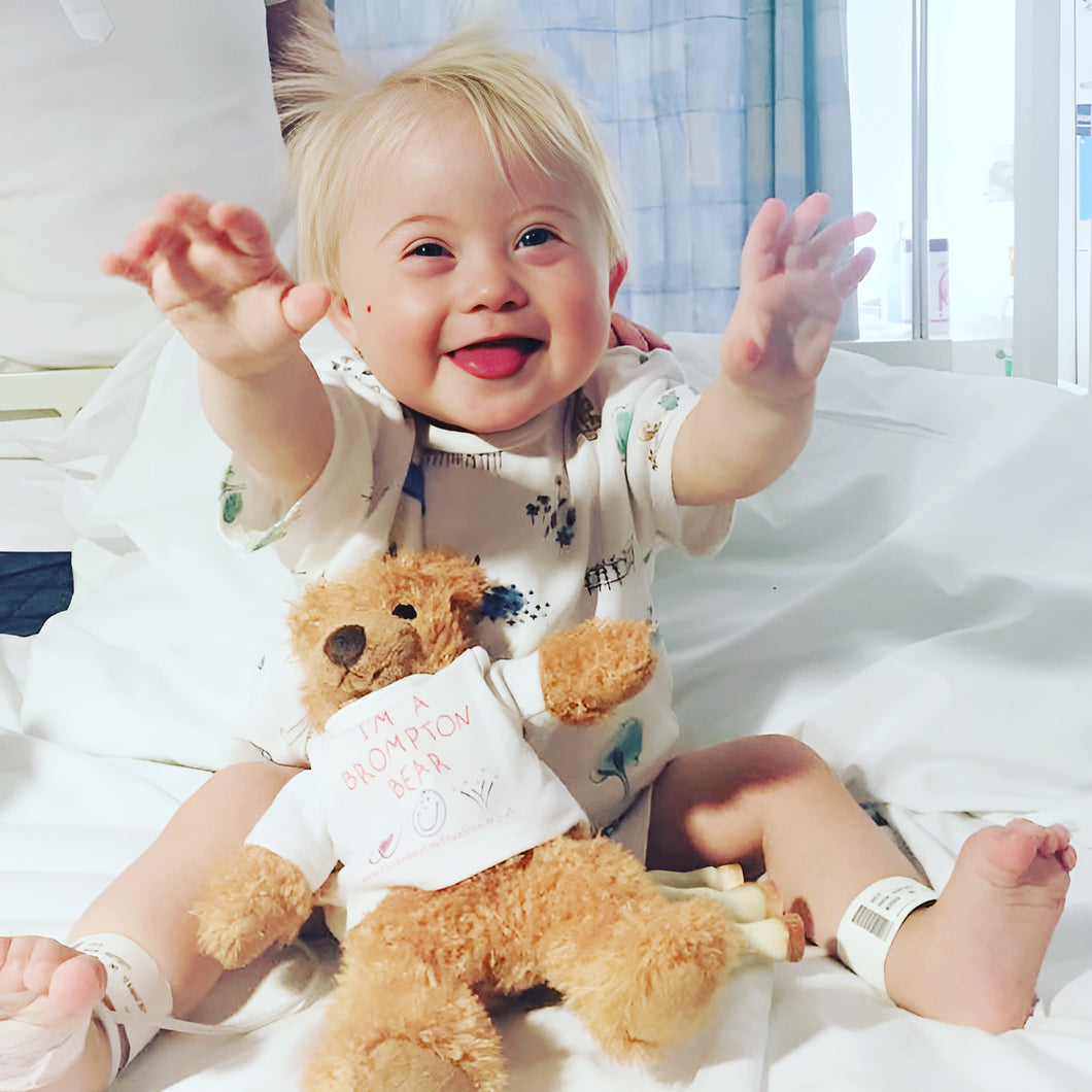 Sponsor A Brompton Bear